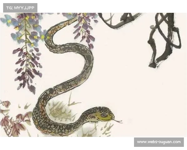 福田区校园联赛小出发员黄琪涵沉着调度，展现学生自主管理能力